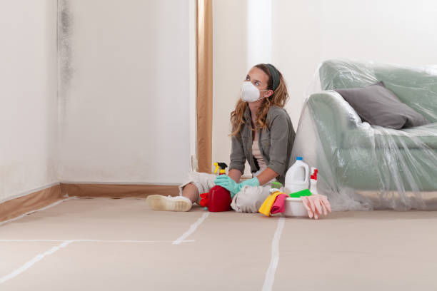 Reliable Mold Inspection contractor in West Islip, NY by WQB Mold Removal